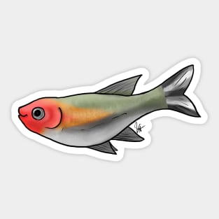 Fish - Tetras - Firehead Tetra Sticker